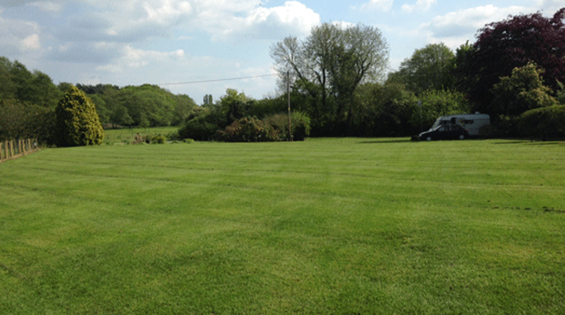 Springview, PE32 2YA, Dereham, Norfolk
