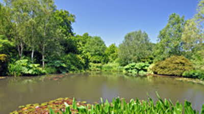 Offer image for: RHS Garden Rosemoor - £2.00 discount