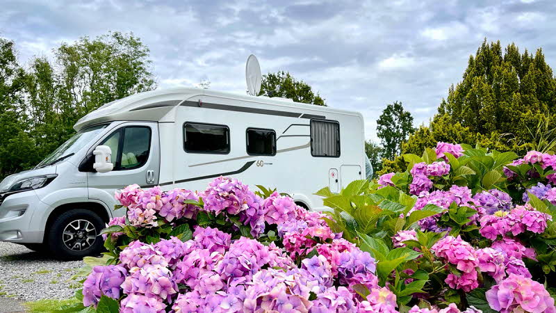 Motorhome parked in front of colourful flowers