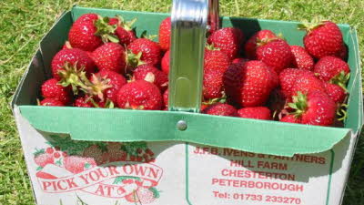 Mound Lodge, PE7 3UA, Peterborough, Cambridgeshire