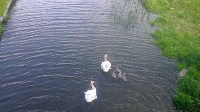 Cheshire Oaks at Stoak Grange, CH2 4HW