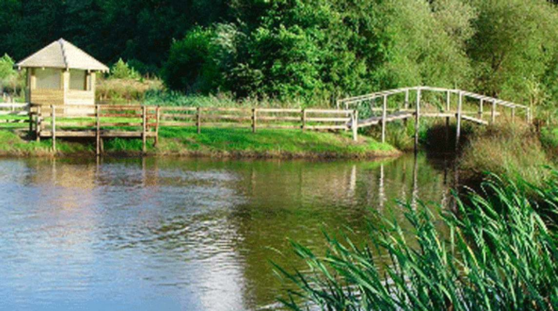 Spring Heath Fishery, Log Cabins and Caravan Park, SY10 8DA, Oswestry, Shropshire