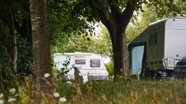 Salisbury Hillside Club Campsite | The Caravan Club