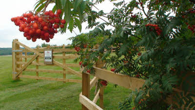 Dovesite CL, DE73 8HS, CL