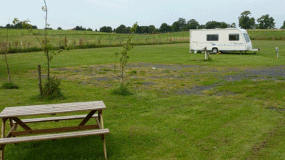 Middridge Meadows Livery, DL5 7JQ