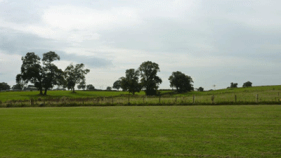 Middridge Meadows Livery, DL5 7JQ