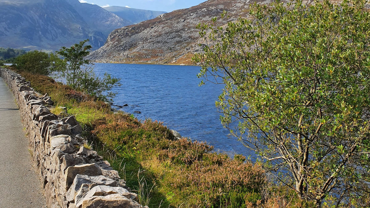 Pathway in Snowdonia with free-standing rock wall alongside river