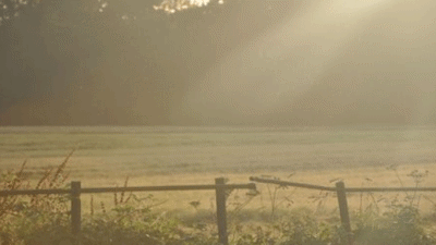 Trelew Farm, TR19 6ED, Penzance, Cornwall