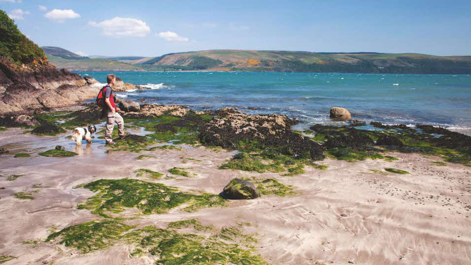 Boy with his dog on a beach in Scotland