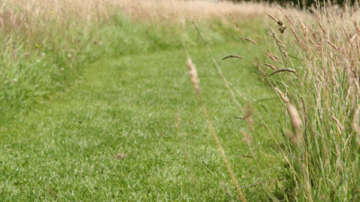 Hillhead Farm, PL21 0HQ, Ivybridge, Devon