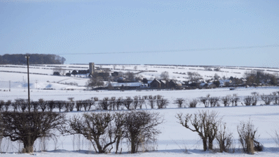 Pear Tree House, YO17 8TQ