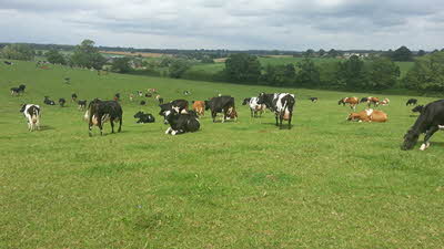 Southfield Farm, SN16 9NF, Malmesbury, Wiltshire
