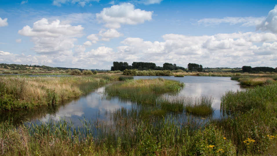 marshy lake near Rutland caravan sites