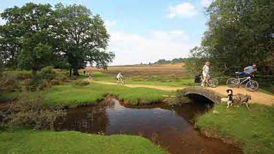 Furzehill Farm, SP6 2PT