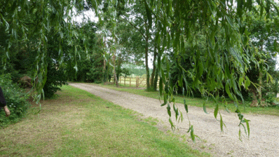 Bunkers Hill Park, IP19 9AF, Halesworth, Suffolk