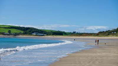 Freshwater East beach in Wales under a pale blue sky. A view of the curving sandy beach fading as it curves with the gentle blue sea. Green hills in the distance. A couple of people and a dog are walking along the waters edge.