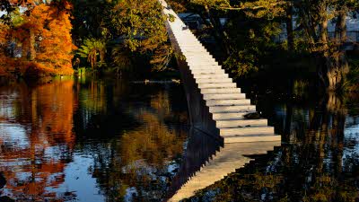 A cement stair case come out of the water narrowing in the distance both this and the surrounding trees reflecting on the water