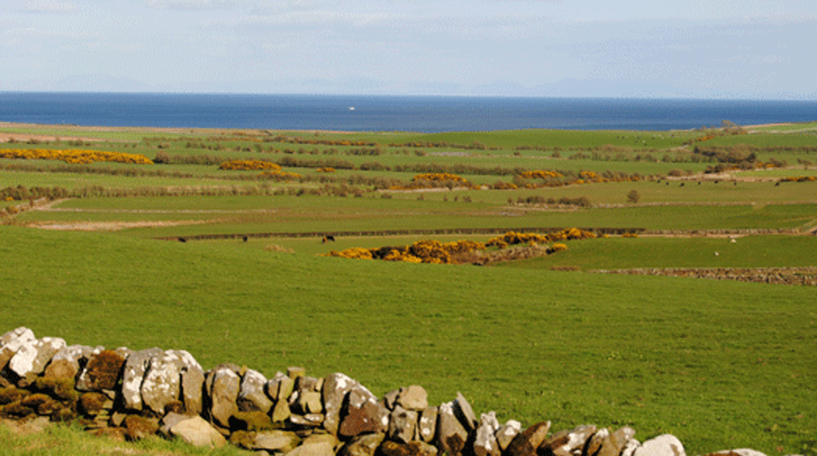 Burgess Outon Farm, DG8 8EZ, Newton Stewart, Dumfries & Galloway, Scotland
