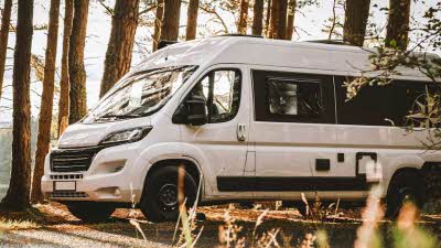 White campervan in woodland, with sun streaming through trees