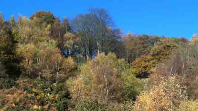 Warren CL, LL16 4DT, Denbigh, Denbighshire, Wales