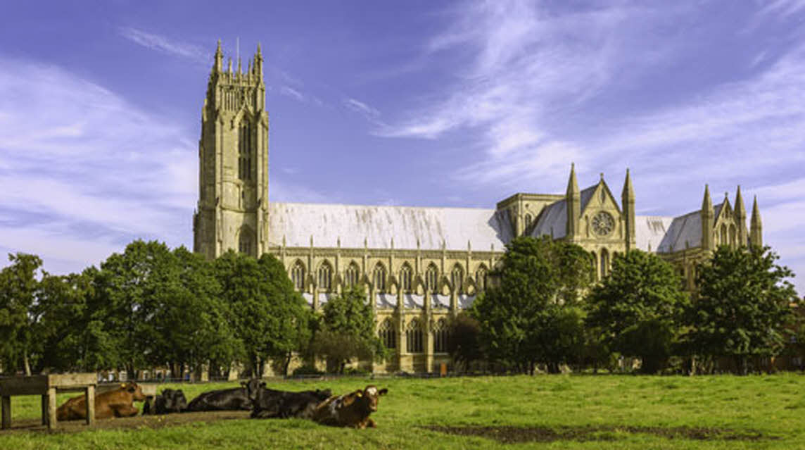 Tudor Springs, HU16 4JR, Hull, East Riding of Yorkshire