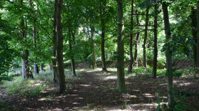 Sunfield Farm, IP13 6ND, Woodbridge, Suffolk