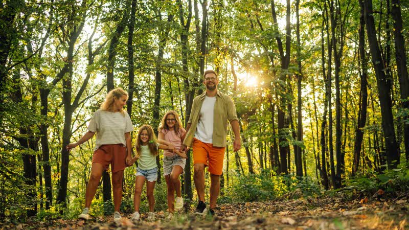 Family walking through woods together