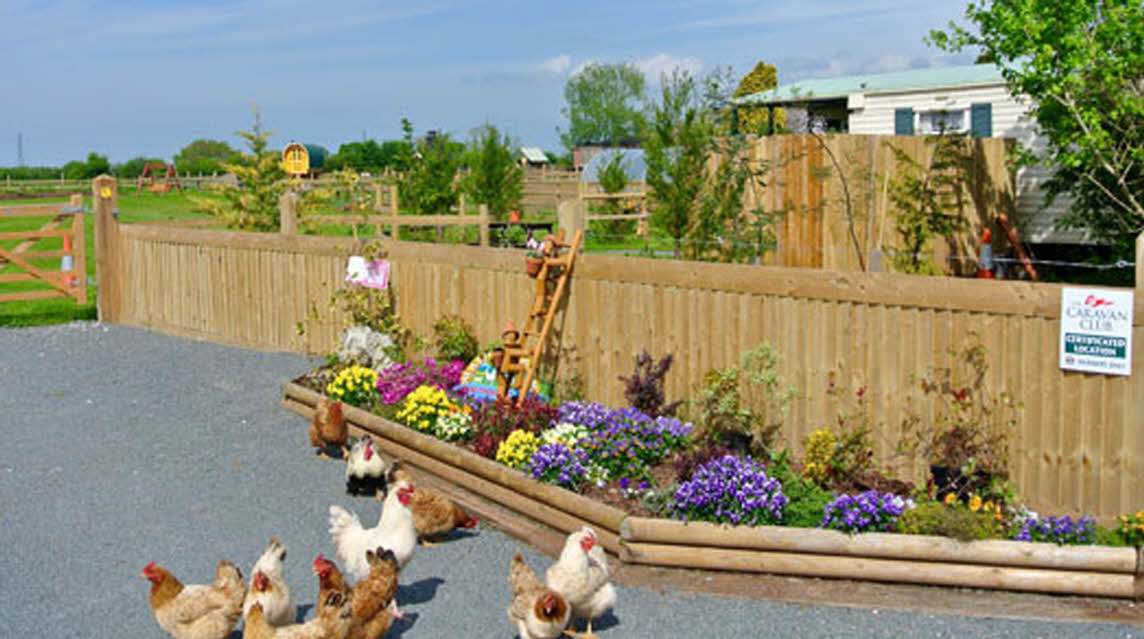 Manor Farm Caravan Park, TA5 2BB