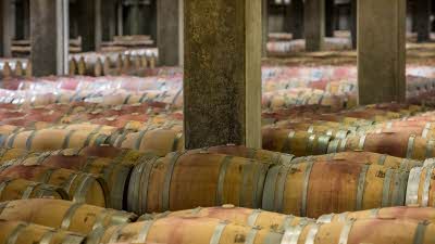 barrels closely packed on the floor of a bodega in Rioja