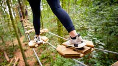 Offer image for: Go Ape - Aberfoyle - 10% discount