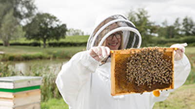 Offer image for: Hiver’s Rural Beekeeping and Beer Tasting - 15% discount