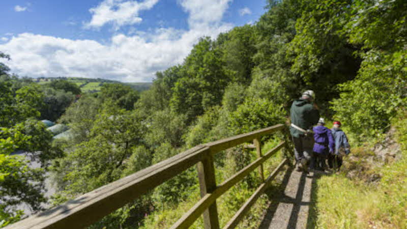 Must credit ©National Trust Images/Chris Lacey