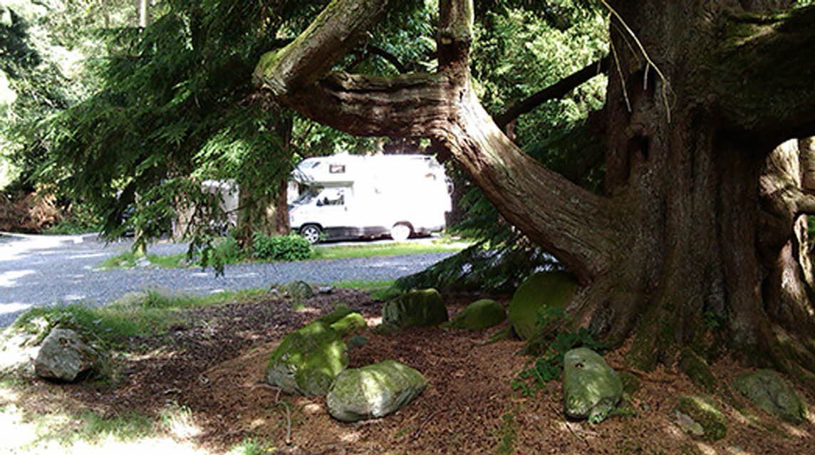 Patterdale Hall Estate, CA11 0PJ
