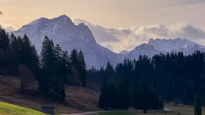 Austrian mountains behind the fir forest