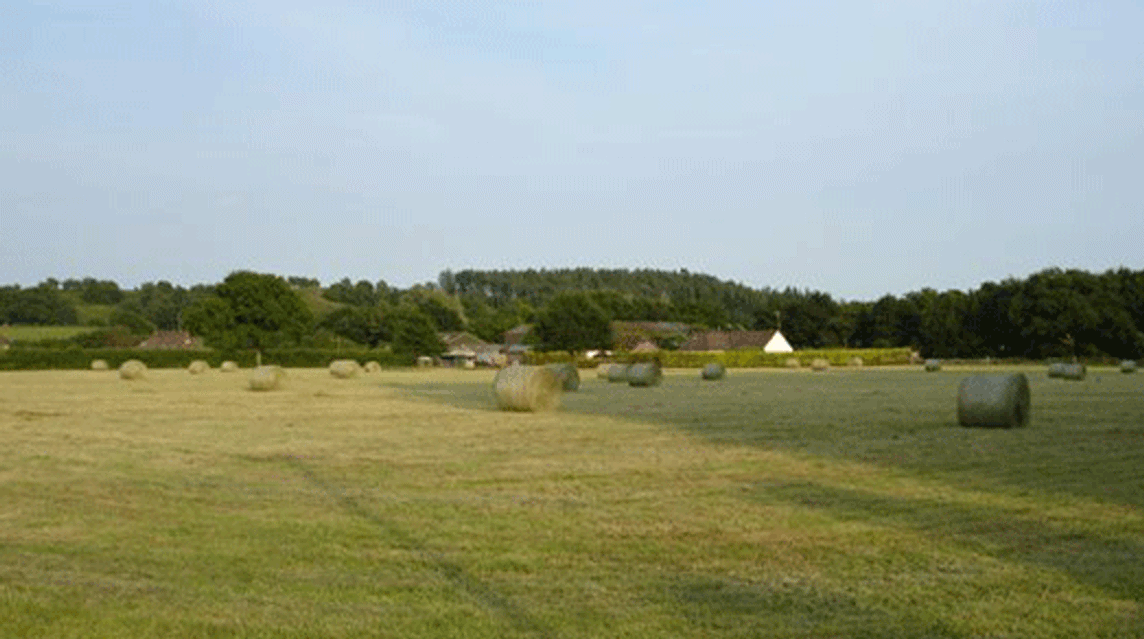 Airview Farm, BH24 3PR
