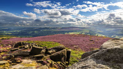 View over the Peak District National Park with wildflowers and mountains