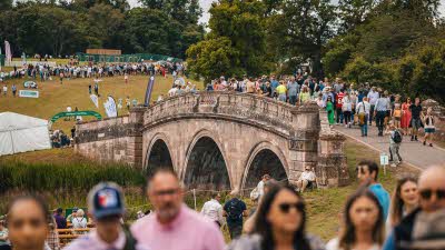 Crows over bridge at Game Fair