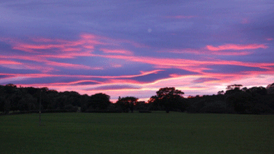 Mountain View, SY21 8EP