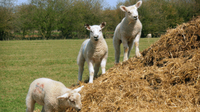 Longstretch Farm, WR11 7QH, Broadway, Worcestershire