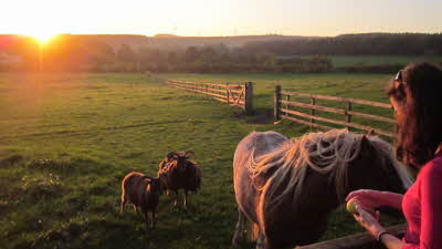 Old Bridge End, DH7 6TT, Durham, County Durham