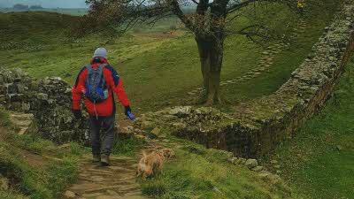 Person and dog walking the Hadrian's Wall route