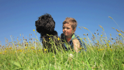 Hillhead Farm, PL21 0HQ, Ivybridge, Devon