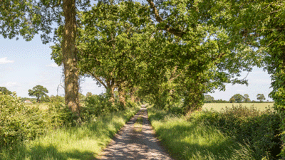 Stubbs Hill, NR17 2LS, Attleborough, Norfolk