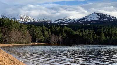 A glimpse of the sandy edge beside the open water of the loch with huge trees in the far side with snow peaked mountains towering above on the distance 