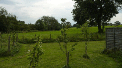 Middridge Meadows Livery, DL5 7JQ