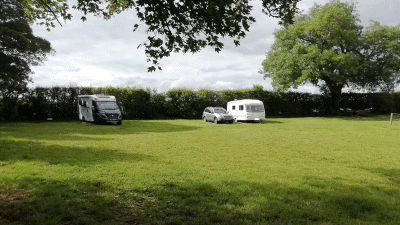 Edgmond Park, TF10 8EP, Newport, Shropshire, CL owner, 2020, pitch, grass, motorhome, trees, fence