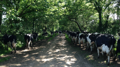 Chiverton Farm, TR20 9PE, Penzance, Cornwall