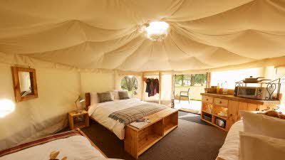 Yurt Alderstead Heath