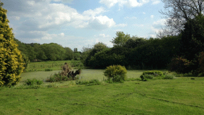 Springview, PE32 2YA, Dereham, Norfolk