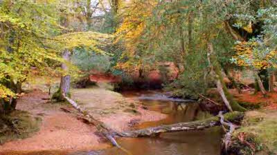 Furzehill Farm, SP6 2PT